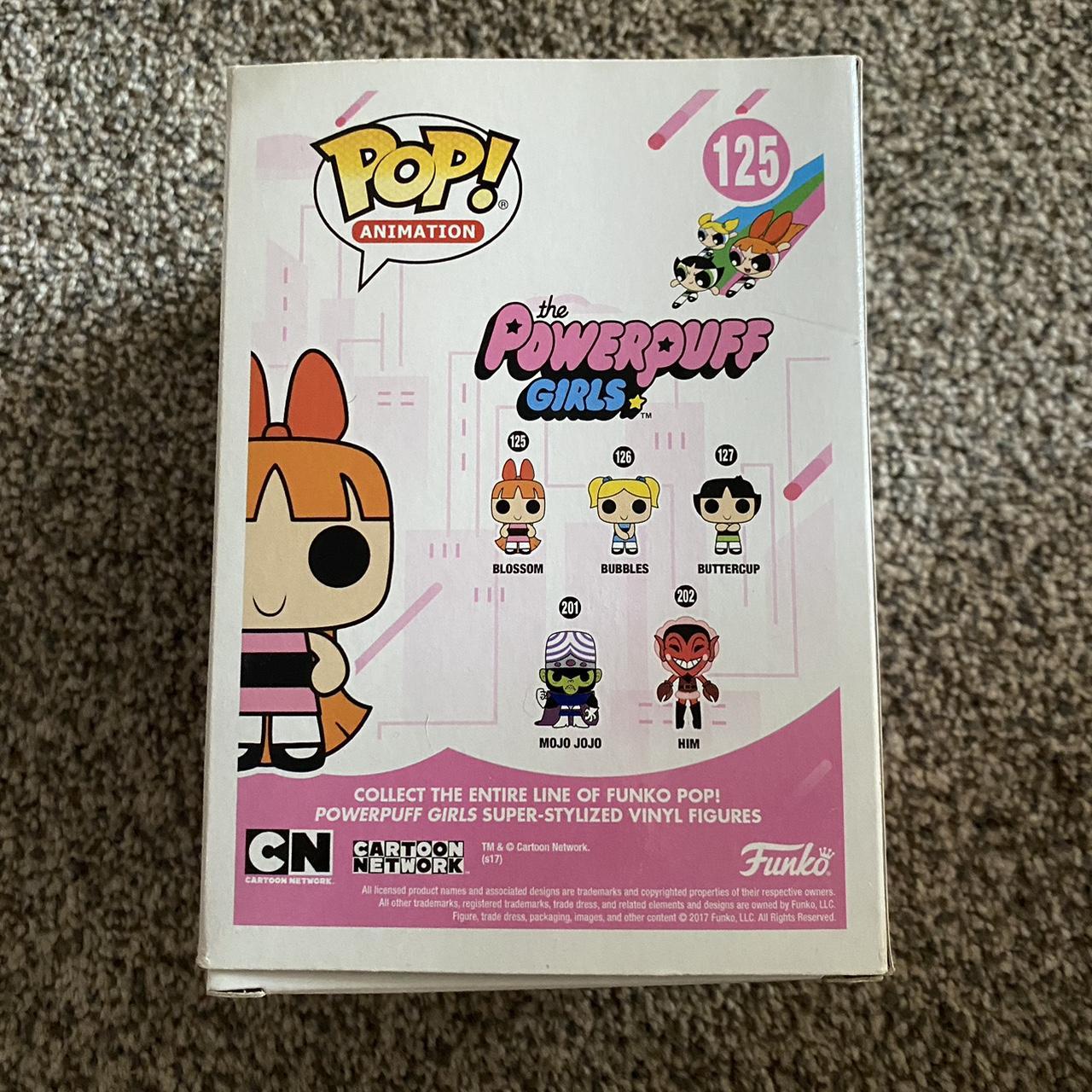 Blossom PPG funko pop Box is slightly damaged but... - Depop