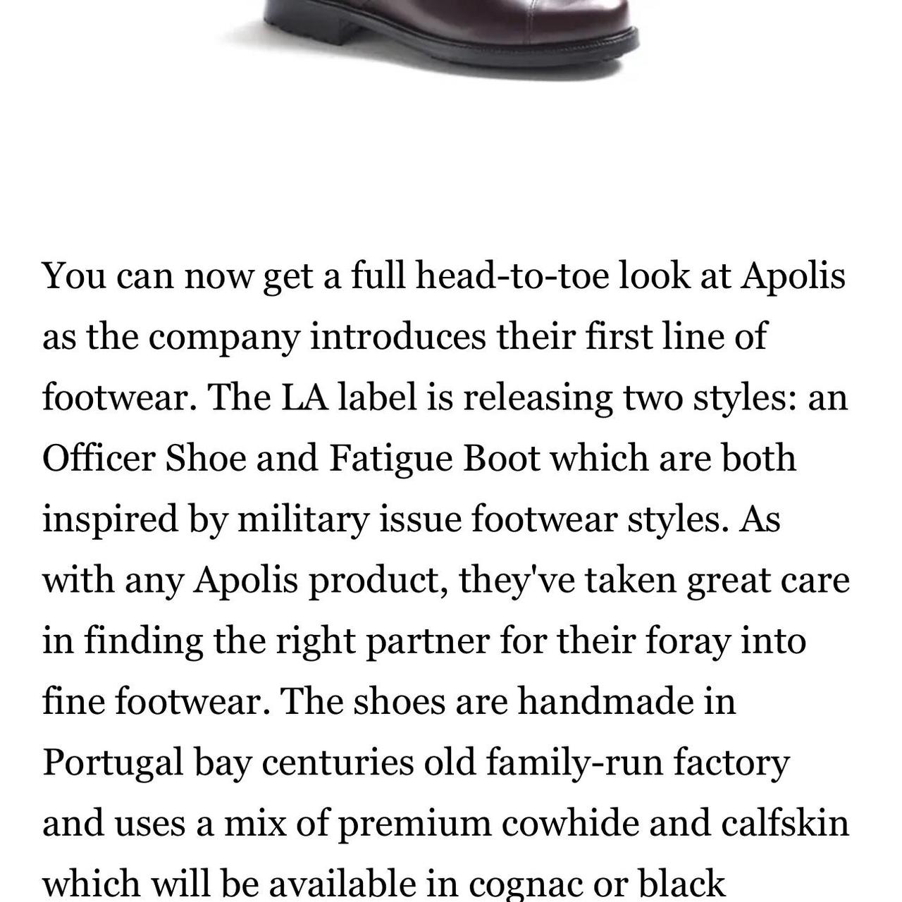Apolis Men's Black Boots (6)