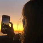 nolanfay's profile picture