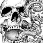 devilcity375's profile picture