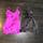 item listed by elliefcloset