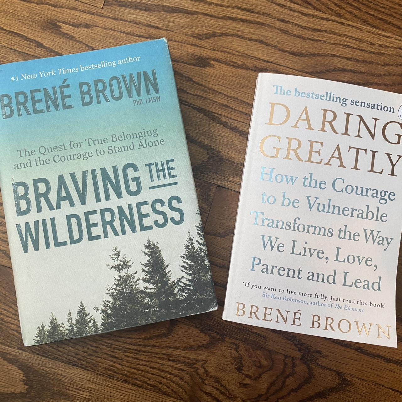 Brene 2024 Brown Book Bundle