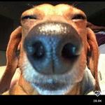 brynnenoelle's profile picture