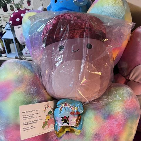 Squishmallows Wendy the frog Size: 8” - Depop