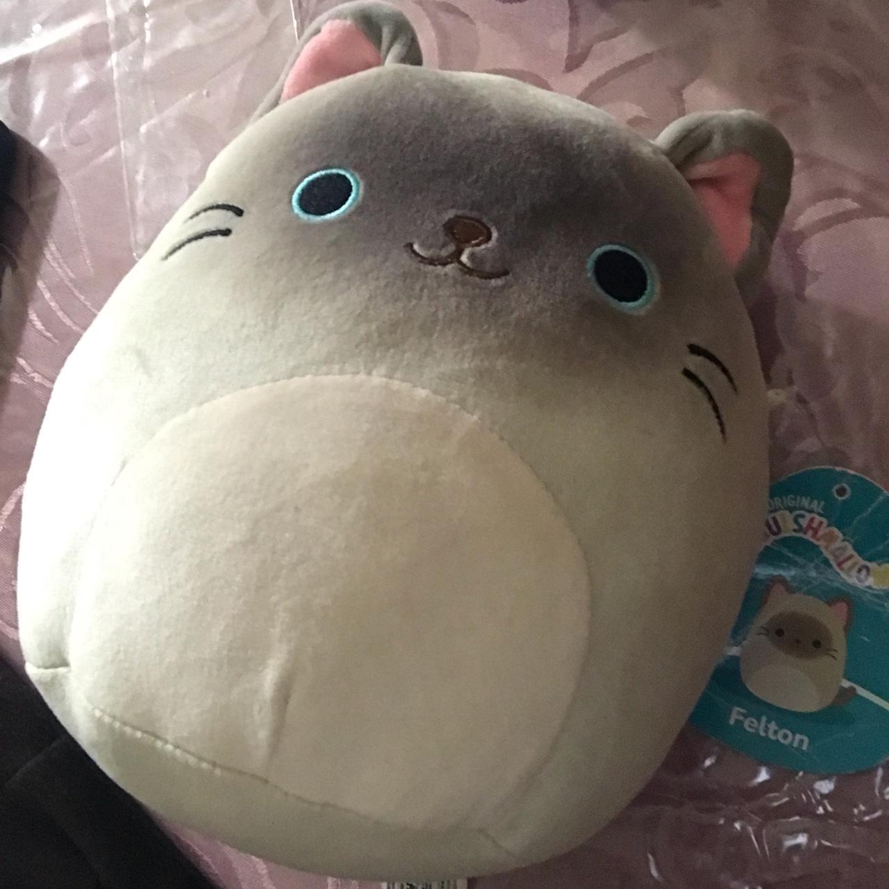 brand new valentine's day calico cat squishmallow, - Depop