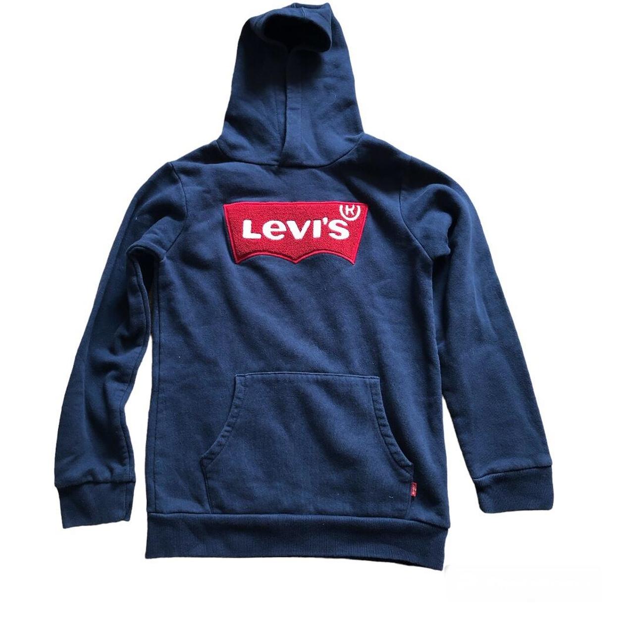 Levis hotsell hoodie junior