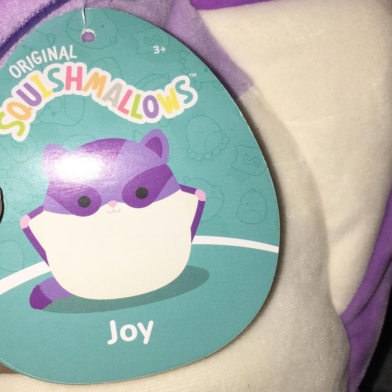 Joy the flying squirrel squishmallow - brand new... - Depop