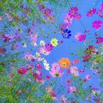 robinsfashions's profile picture
