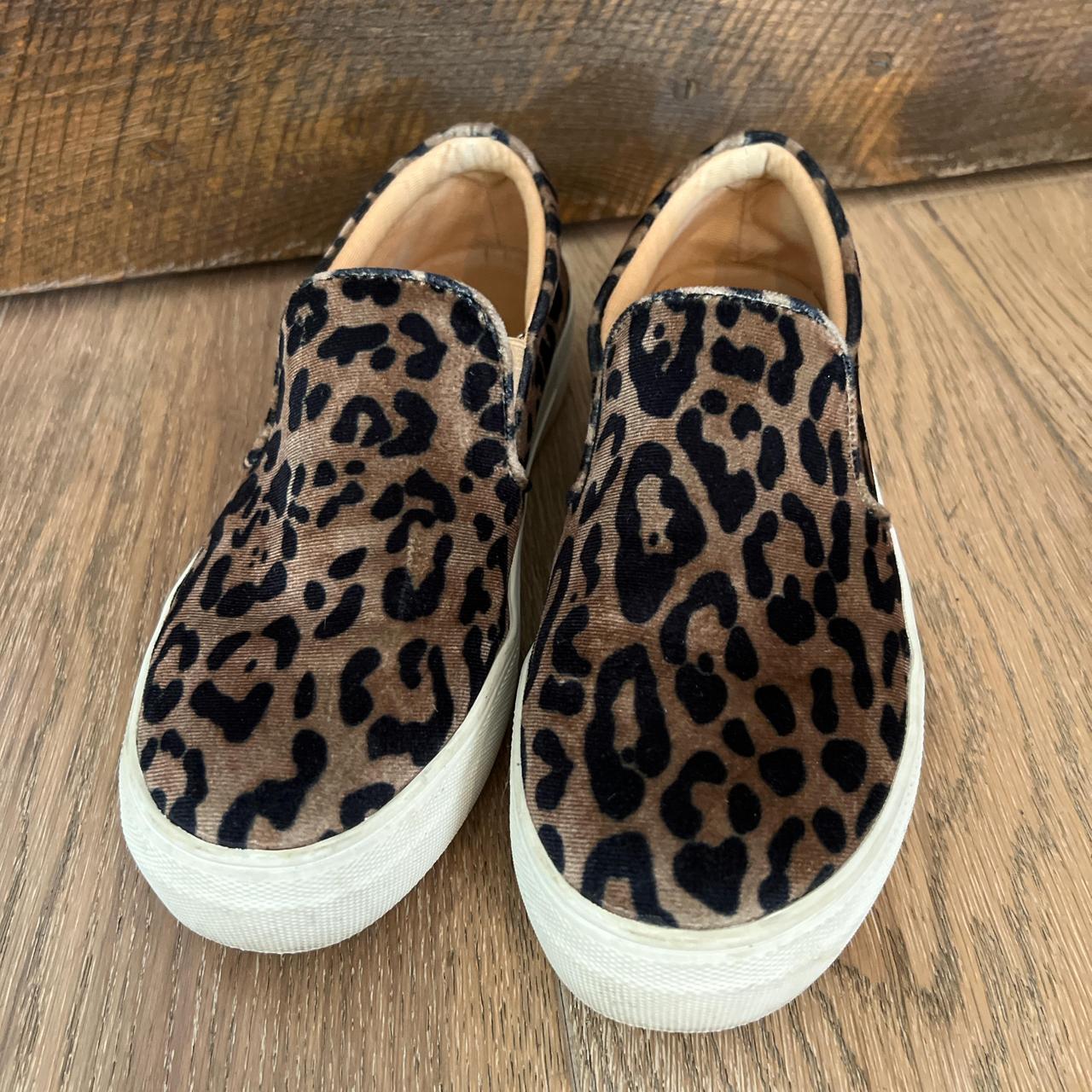 Gills a leopard steve madden online