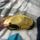 item listed by britneyhall