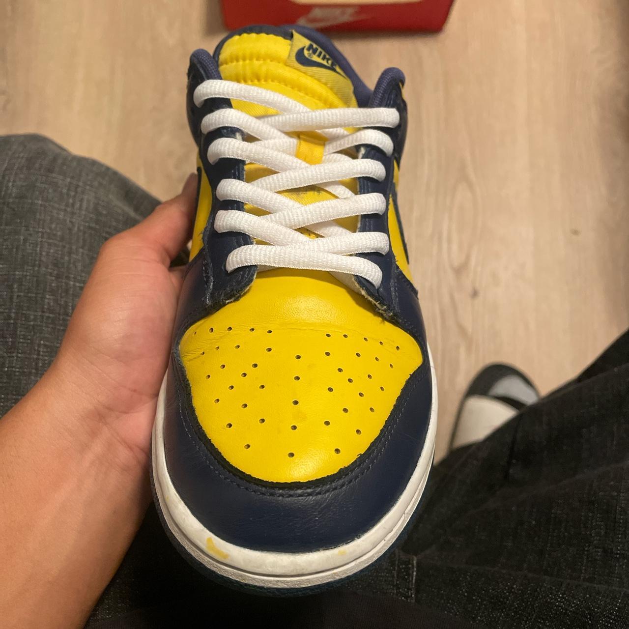 fake michigan dunks