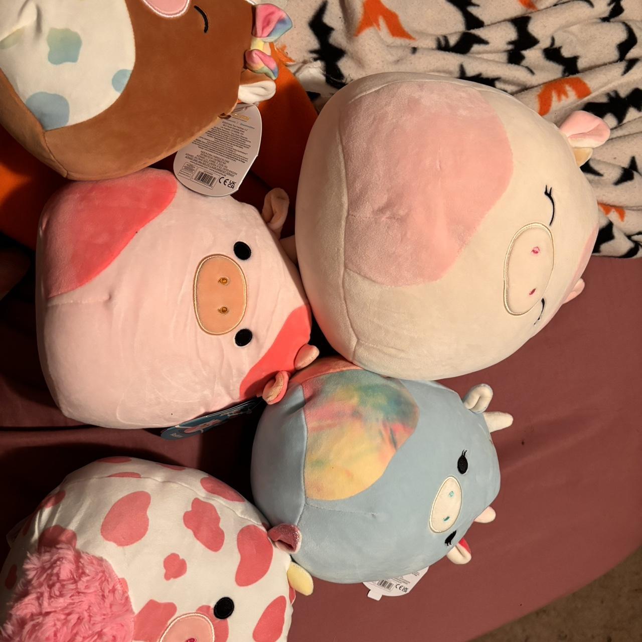 Cow deals Squishmallow Bundle