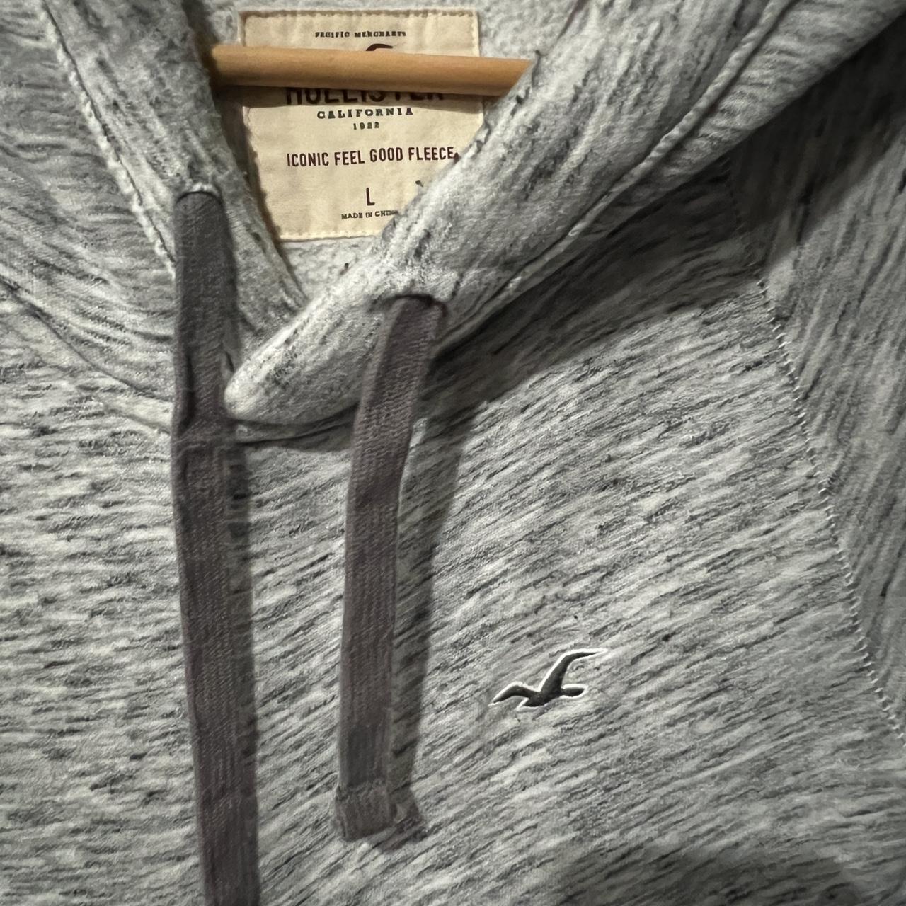 Hollister iconic feel good fleece sale