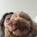 stella_a's profile picture