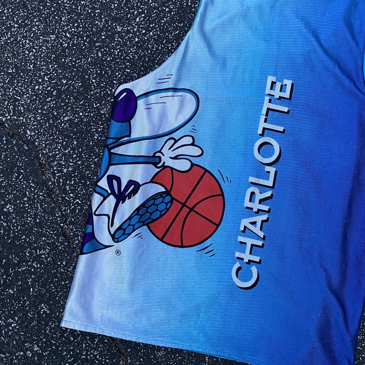 Charlotte Hornets Vintage 90s Starter Pinstripe - Depop