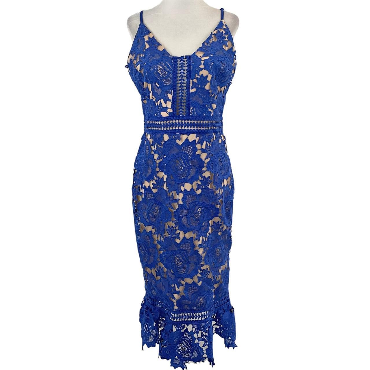 Gianni bini on sale camilla lace dress