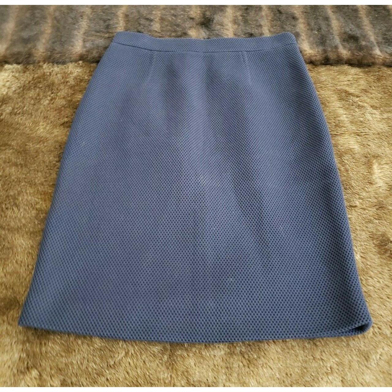 Carolina Herrera Women's Blue and Navy Skirt