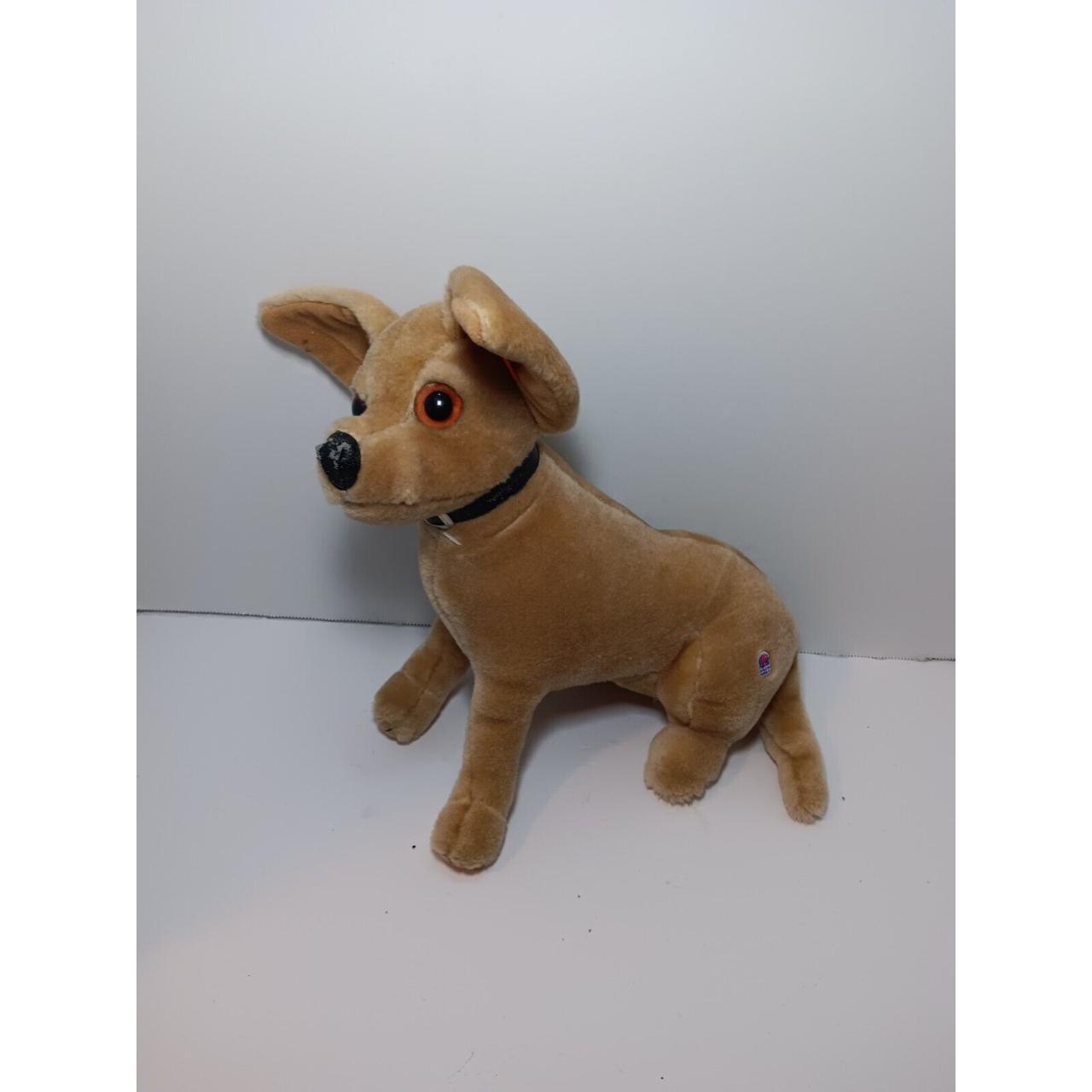 Taco fashion bell talking chihuahua dog