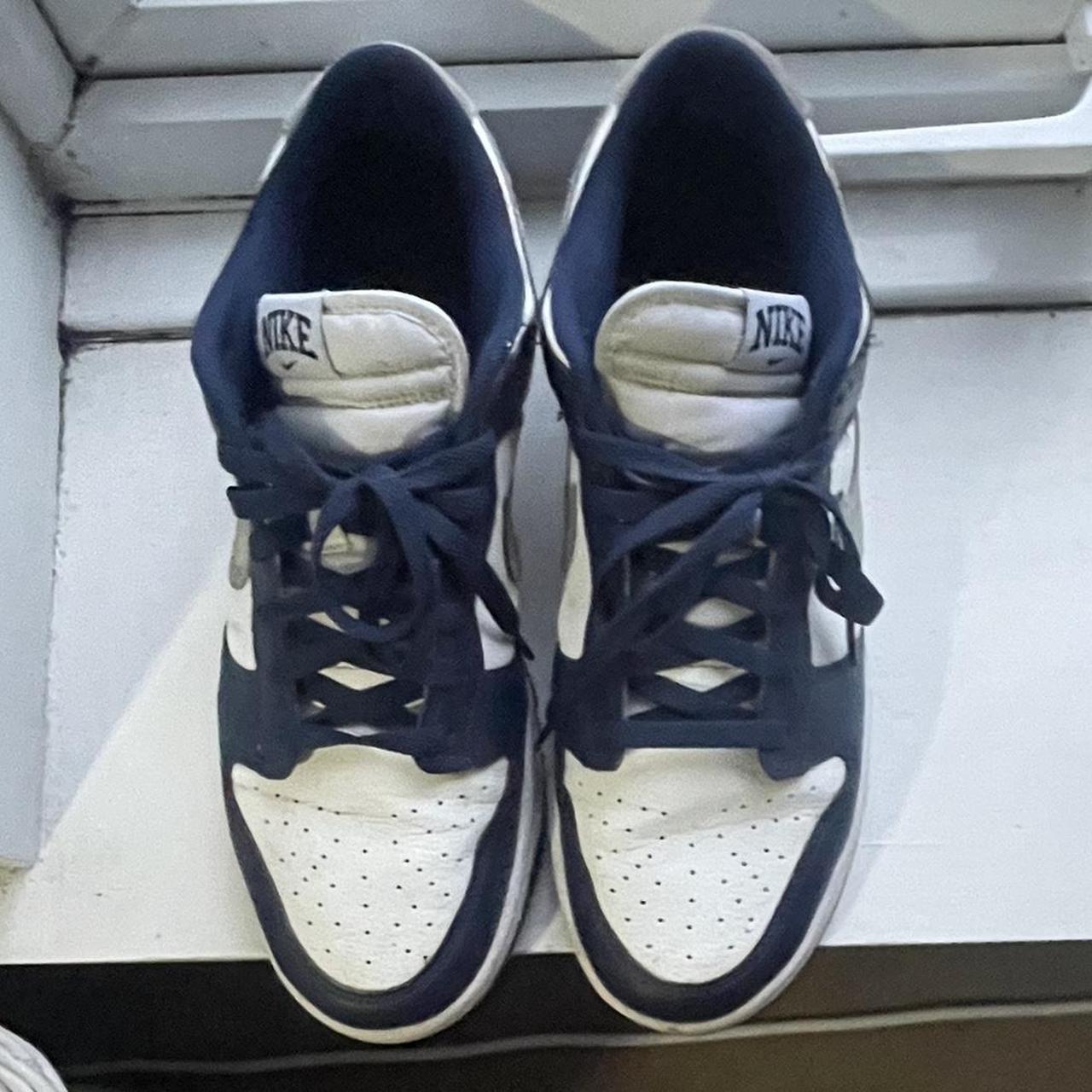mens nike dunk trainers
