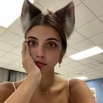 avaotes's profile picture