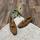 item listed by shopkiger