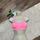 item listed by shopkiger
