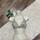 item listed by shopkiger