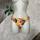 item listed by shopkiger
