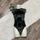 item listed by shopkiger