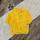 item listed by shopkiger