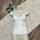 item listed by shopkiger