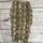 item listed by amr_social