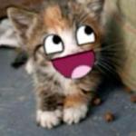 finnystar's profile picture