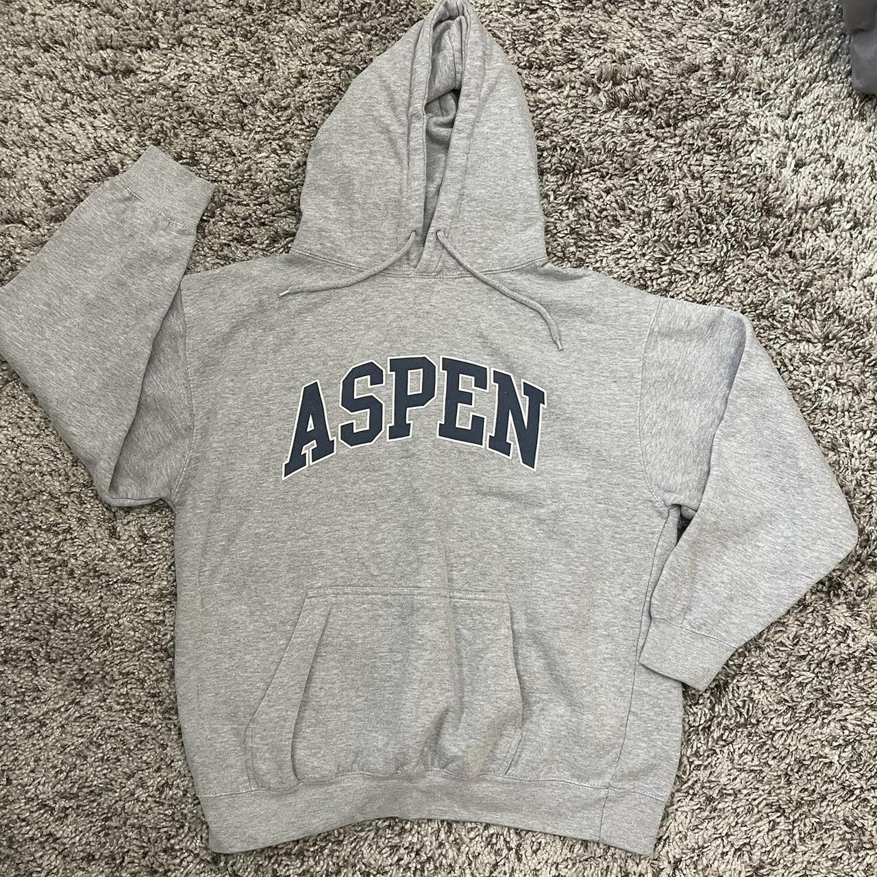 Brandy Melville - Aspen hoodie Soft, oversized fit... - Depop