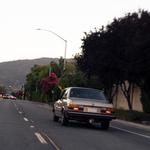 fabrizio_03's profile picture