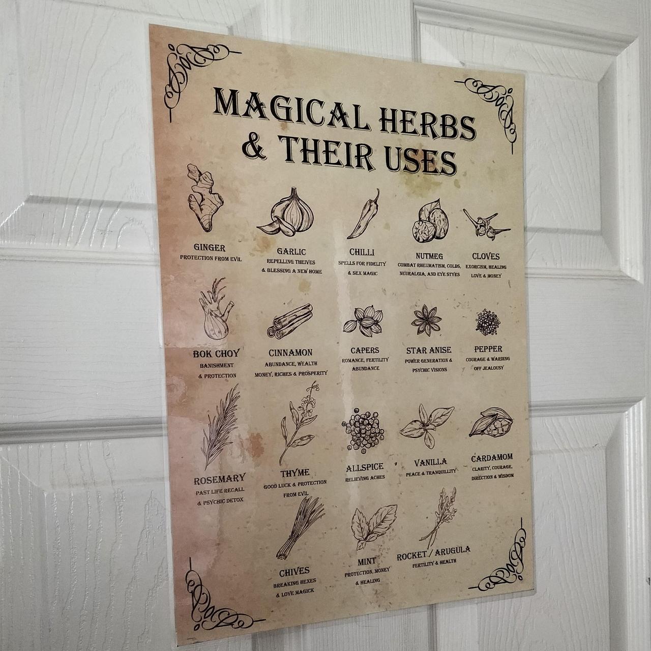 3 X A3 LAMINATED KITCHEN WITCH RULE POSTER SET Depop   P0 