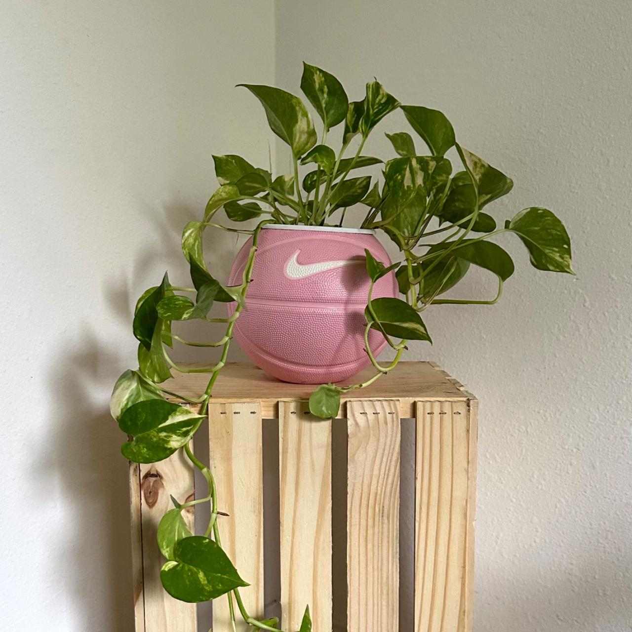 Reworked Nike Pink Basketball Planter + Plant Plant... Depop