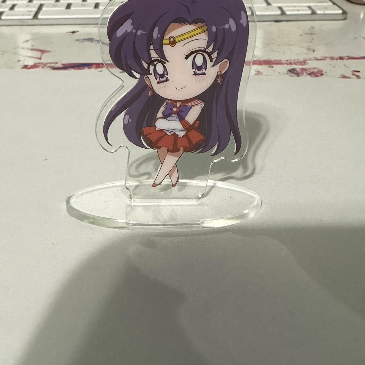 限定1株　P. willinckii 'Sailor Mars’ OC 限定1株 P. willinckii 'Sailor Mars' OC 限定1株 P. willinckii