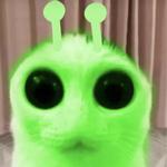 cerl's profile picture