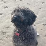 immytompkins's profile picture