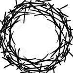 boid_resell's profile picture
