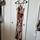 item listed by karsyn_mariee