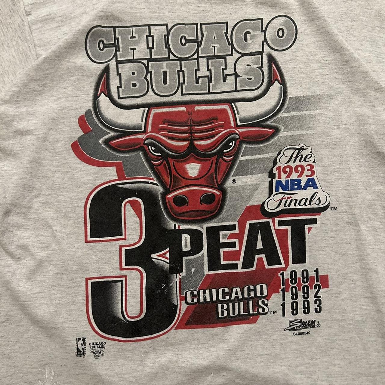 Chicago Bulls Established in 1966 Jersey Red - Depop