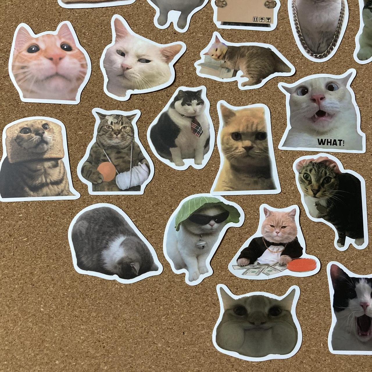 Funny Cat Meme Stickers - 40 Pack Stickers Average - Depop