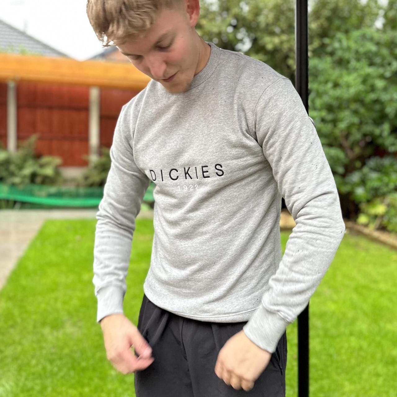 Grey 2024 dickies jumper