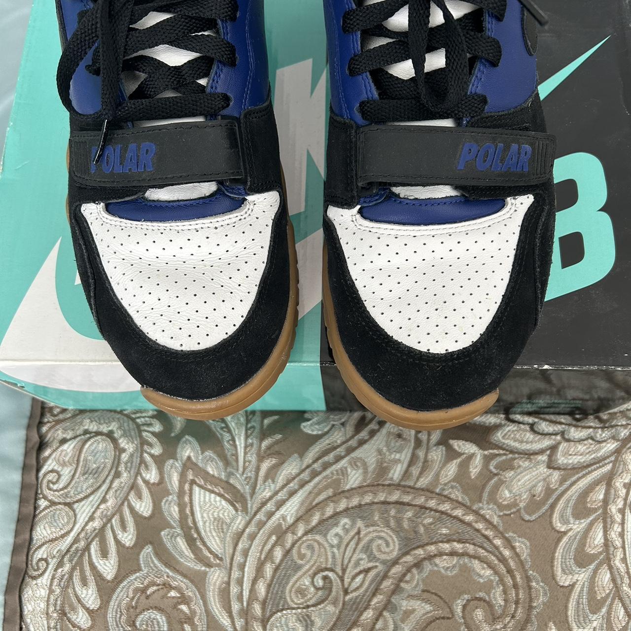 polar nike sb trainer