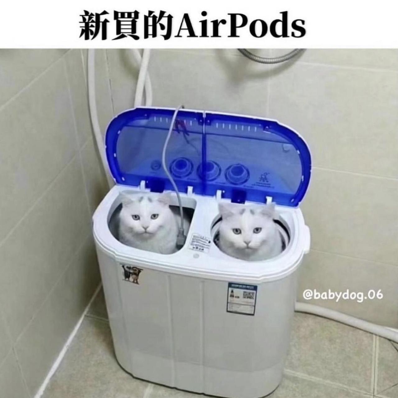 item listed by kayakayakay