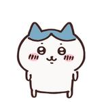 kiiiver's profile picture