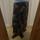 item listed by lauren__m