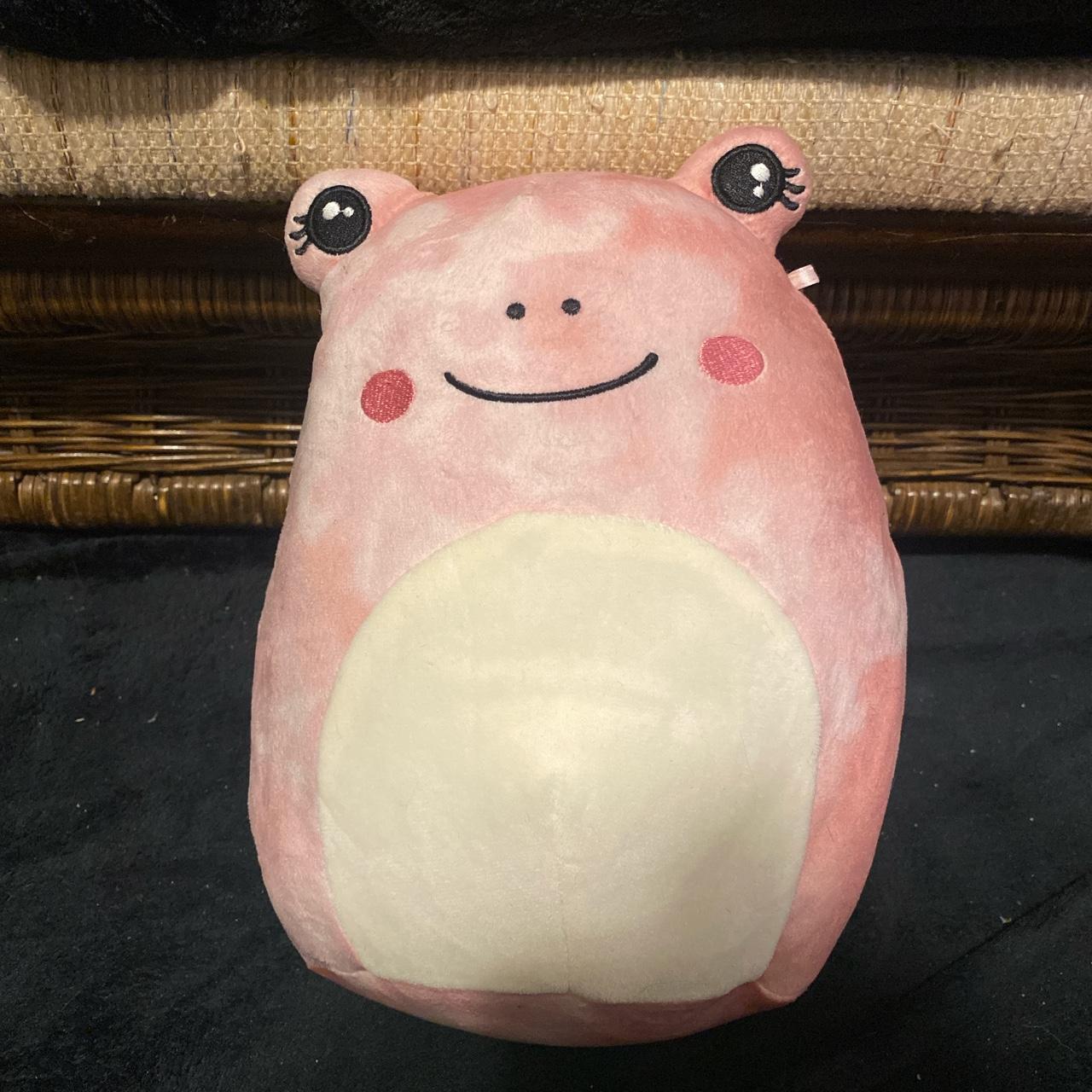 8 inch Fanina the frog squishmallow. Message with - Depop